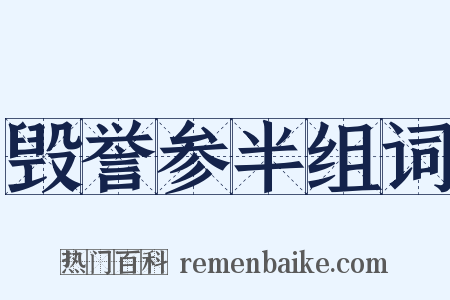 毁誉参半组词是什么意思的图片